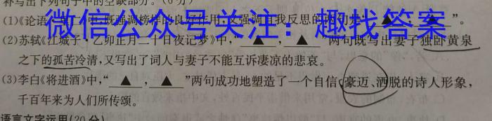 三晋卓越联盟·山西省2023-2024学年高二5月质量检测卷语文