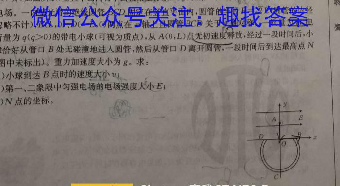 四川省高三年级2024年2月考试(正方形包黑色菱形)h物理