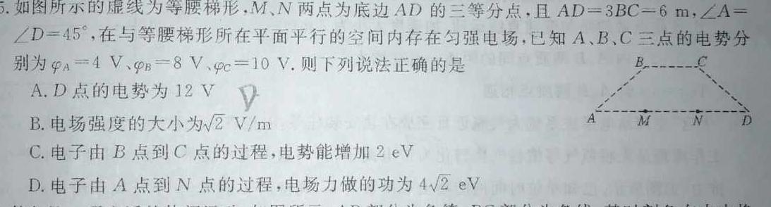 广州市真光中学2025届高三开学质量检测(2024.08)(物理)试卷答案