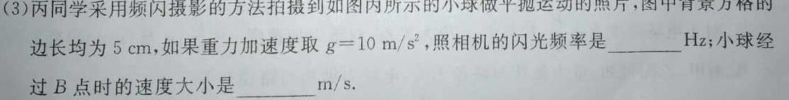 2024年吉林省普通高等学校招生考试(适应性演练)物理试题.