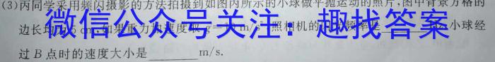 衡水金卷2024版先享卷答案信息卷 新高考卷二l物理