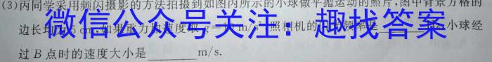 海淀八模 2024届高三模拟测试卷(六)6物理试卷答案