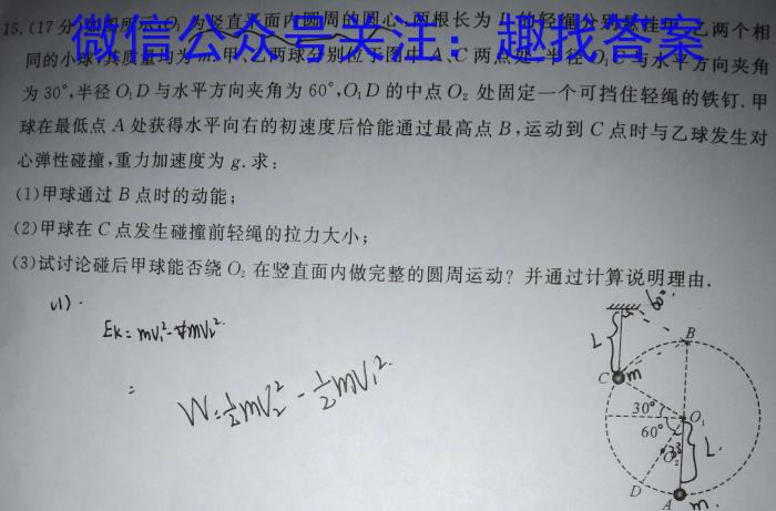 2024年普通高等学校招生全国统一考试内参模拟测试卷(五)5物理试卷答案