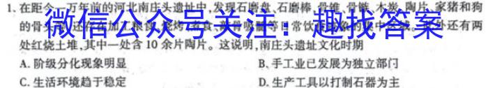 青桐鸣2024年普通高等学校招生全国统一考试 青桐鸣押题卷二历史试题答案