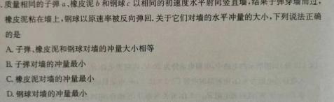 2024年普通高等学校招生全国统一考试内参模拟测试卷(二)2物理试题.