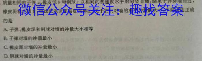 广西省2024届高三年级12月阶段性检测(24-226C)物理`