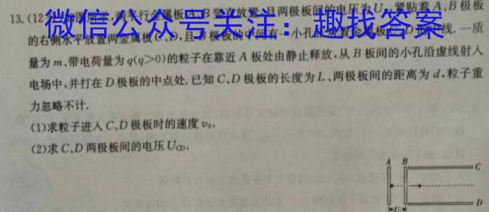 安徽省十联考 合肥一中2024届高三上学期期末质量检测卷物理试卷答案