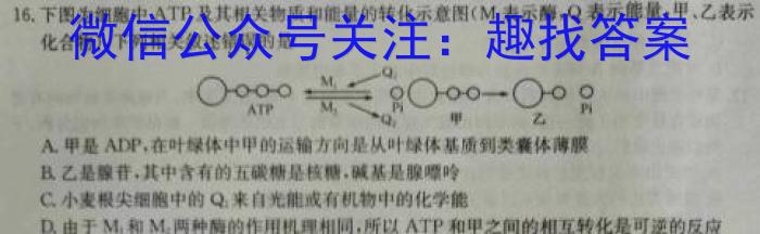 安徽省C20教育联盟2024年九年级第一次学业水平检测生物学试题答案