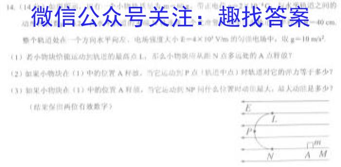 安徽省2024届下学期九年级开学考试（无标题）物理`