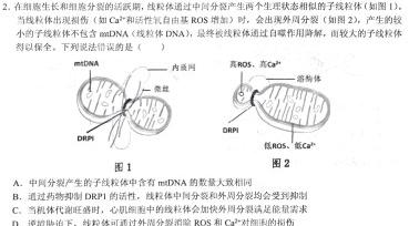 安徽省六安市皋城中学2025届九年级（上）定时作业（一）生物学部分