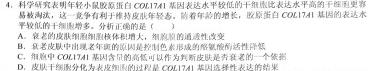 深圳市2023-2024学年初三年级中考适应性考试生物