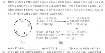 许昌市2023-2024学年第一学期期末教学质量检测（高一）生物