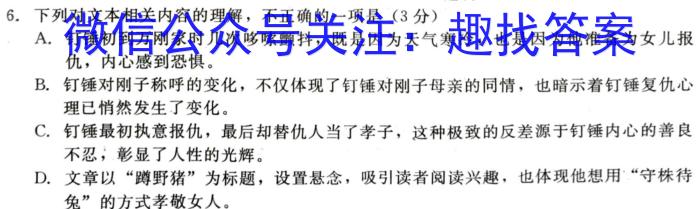 江西省九江市永修县某校2023-2024学年度下学期九年级阶段（一）质量检测试卷/语文