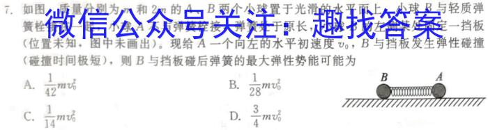 安徽省六安市2025届初三阶段性目标检测（一）物理试卷答案