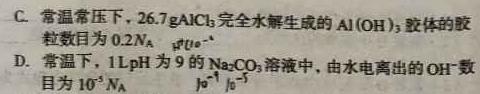 12024届贵州省高二12月联考(24-203B)化学试卷答案