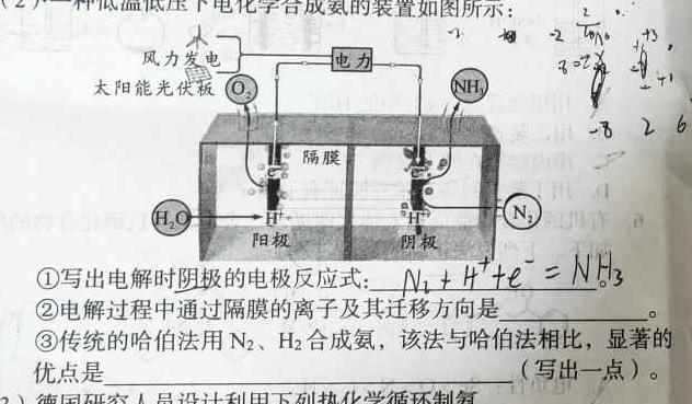 【热荐】河北省2023-2024学年度高二年级上学期12月联考（台灯·河北）化学