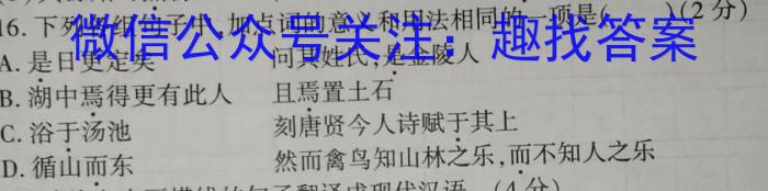 安徽省2024年九年级无标题试卷（4.7）语文