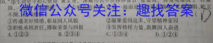 24届高三年级TOP二十名校调研考试九政治~