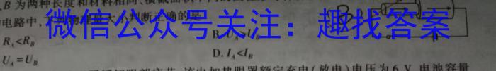 2024年河北省初中毕业生升学文化课考试模拟试卷（十）物理试卷答案