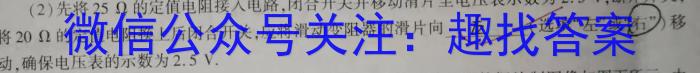 2024届决胜新高考——高三大联考(4月)物理`