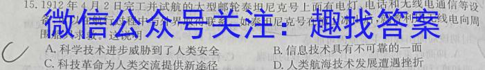 安徽第一卷·2023-2024学年安徽省九年级教学质量检测四Ⅳ(1月)历史试卷答案