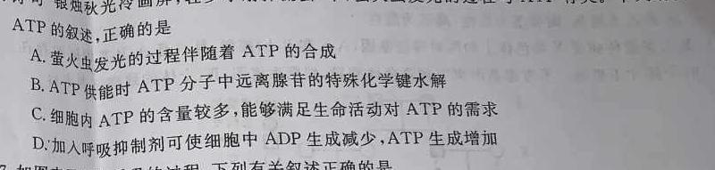 万维中考·2024年河北省初中毕业生升学文化课考试（黑卷）生物试卷答案.
