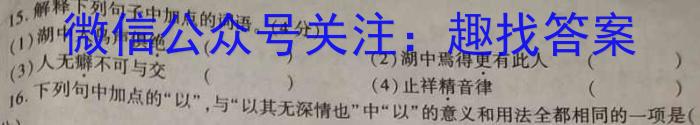 河南省2023-2024学年高一年级阶段性测试（三）语文