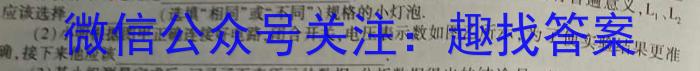 安徽省安庆十六中2024-2025学年第一学期九年级开学学情监测物理试卷答案