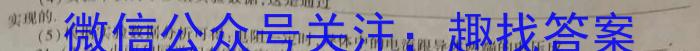 2024年河北省初中毕业生升学文化课考试（金榜卷）物理试题答案