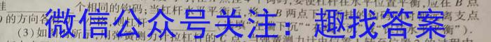 安徽省2023~2024学年度八年级综合模拟卷(四)4MNZX A AH物理试题答案