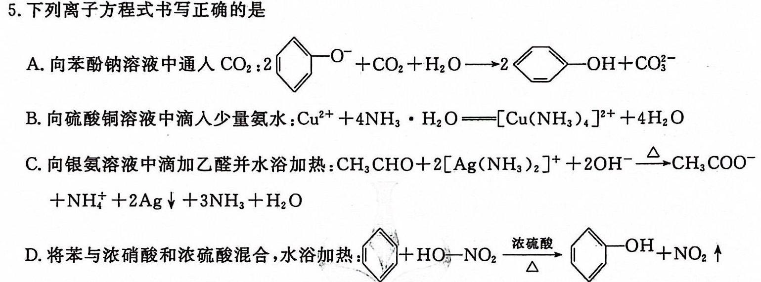 【热荐】河南省2023-2024学年高一年级阶段性测试（二）化学