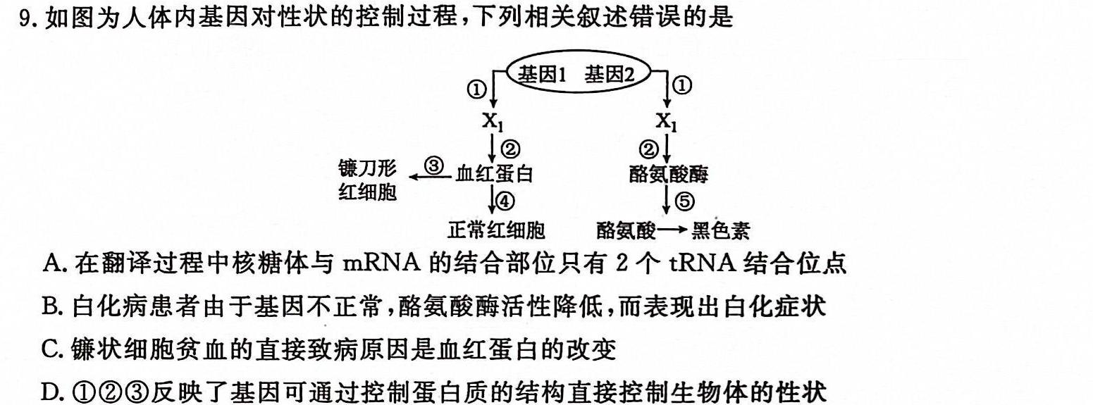 云南省高二2023-2024学年下学期大理州普通高中质量监测生物