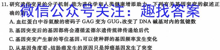 河南省2023-2024学年上学期九年级阶段性评价卷四生物学试题答案