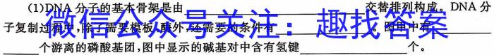 衡水金卷 广东省2023-2024学年度高二5月联考生物学试题答案