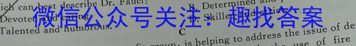 2024年河南省初中学业水平考试全真模拟试卷（四）英语