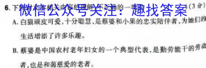 文博志鸿河南省2023-2024学年第一学期九年级期末教学质量检测（A）/语文