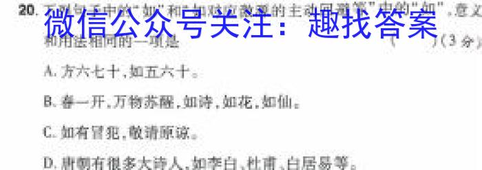 陕西省西咸新区2024年高三第二次模拟考试语文