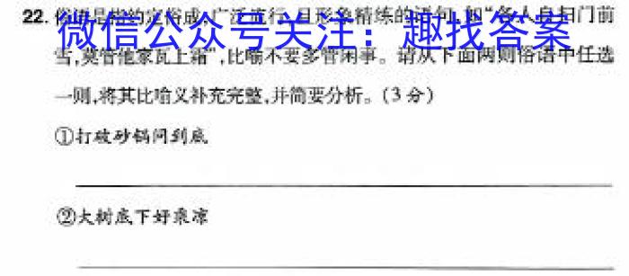 文博志鸿2024年河南省普通高中招生考试模拟试卷（经典二）/语文