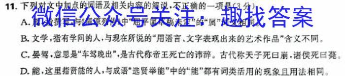 2024届江西省名校联盟九年级下学期3月联考/语文