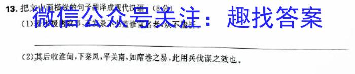 衡水金卷先享题调研卷2024答案(JJ·B)(二)/语文