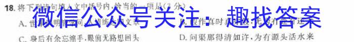 安徽省2024届九年级期末综合评估（4L R）/语文