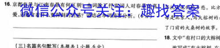 陕西省2024届九年级学业水平质量监测（3月）/语文