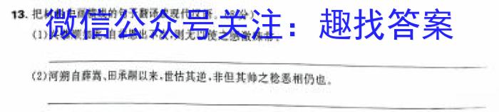 云南省2024年会泽县第一次高中毕业生复习统一检测语文