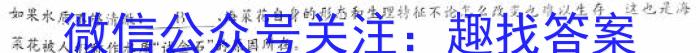 郑州市2024年高中毕业年级第三次质量预测语文