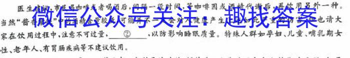 安徽省六安市某校2024届初三阶段性目标检测（五）/语文