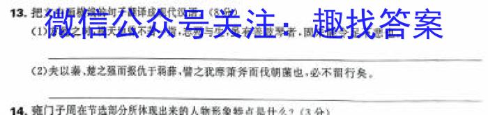 江淮名卷·2024年省城名校中考最后一卷语文