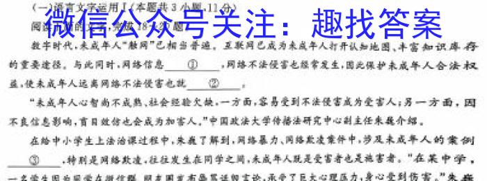江西省吉安县2023-2024学年度第一学期八年级期末质量检测/语文