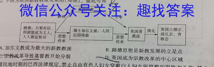 九师联盟2024届高三年级上学期1月期末联考历史试卷答案