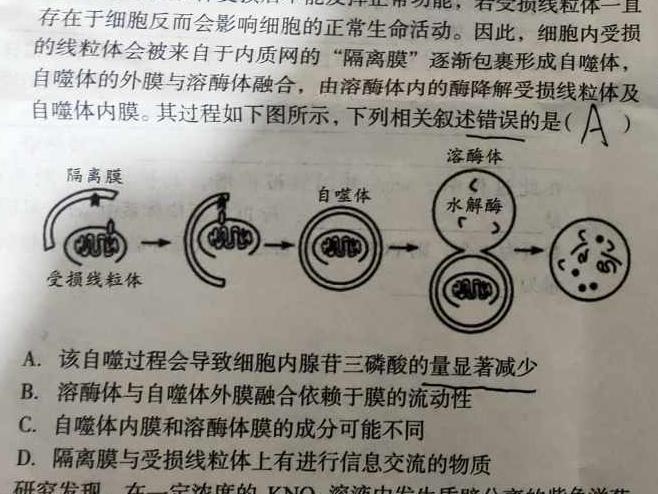 鞍山市普通高中2024-2025学年度上学期高三第一次质量监测生物学部分