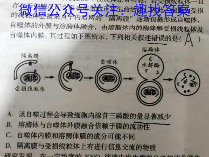 华师联盟2024届12月质量监测考试(河南卷)生物学试题答案